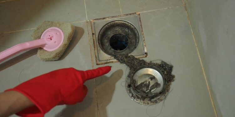 Sem mais baratas ou ralos fedorentos com passo a passo para manter o banheiro limpo