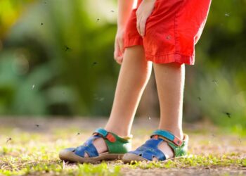 Repelente poderoso contra mosquitos feito com papel higiênico e ingrediente especial