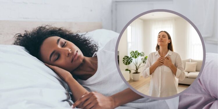 As plantas que purificam o ar e ajudam quem tem rinite