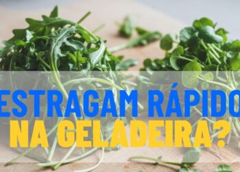 Evite cheiro forte e conserve rúcula e agrião por mais tempo