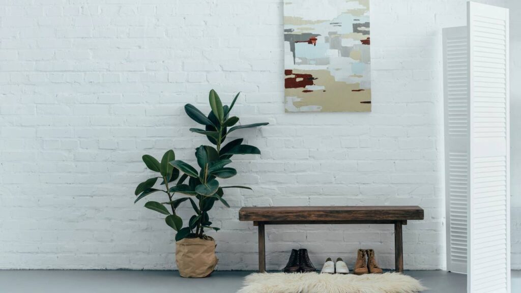 Plantas na decoração: como deixar a casa mais aconchegante