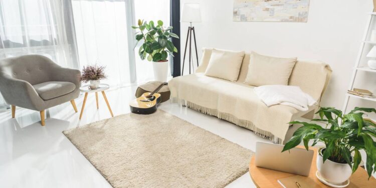 Estas 3 plantas podem mudar completamente sua sala