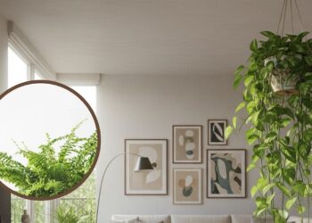 Transforme sua sala em um refúgio aconchegante com estas plantas