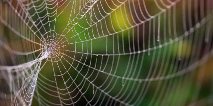 Lugares da sala onde as aranhas gostam de fazer teias