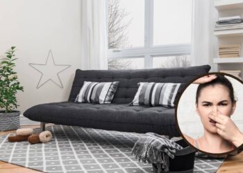 Limpe o tapete e acabe com o mau cheiro usando produtos que você já tem em casa