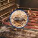 Veja como lidar com as traças no forno elétrico sem produtos químicos