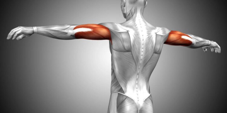Os 3 melhores exercícios para fortalecer os tríceps sem precisar de academia