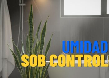 Reduza naturalmente a umidade e o mofo em casa com estas 3 plantas