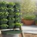 Aprenda a montar uma horta vertical com irrigação e tenha alimentos frescos em casa