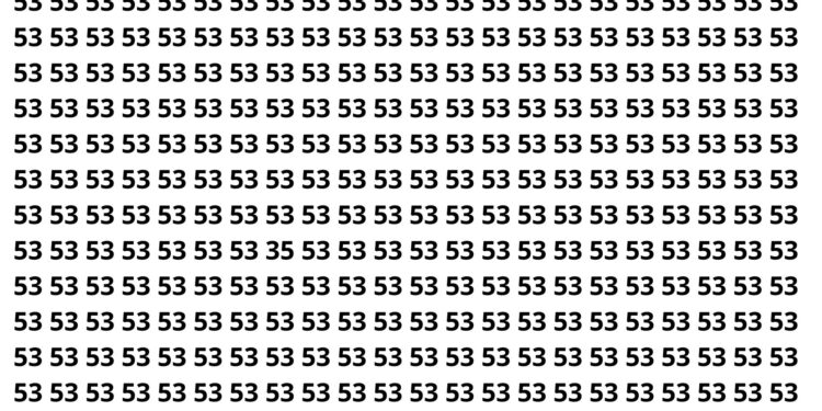 Só os mais rápidos encontram o número escondido em 5 segundos