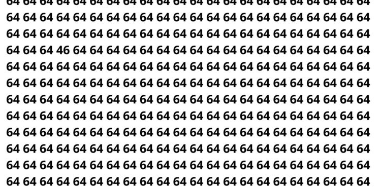 Encontre o número 46 entre os números 64 neste puzzle