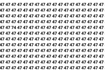 Somente 50% da população encontram o número escondido em 6 segundos