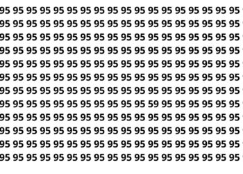 Encontre o número 59 entre os números 95 neste puzzle