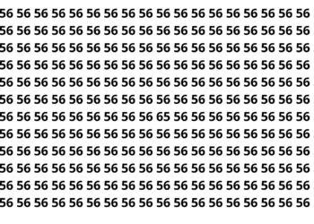 Somente os mais rápidos encontram o número oculto em apenas 8 segundos