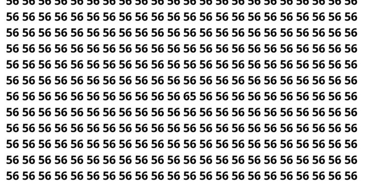 Somente os mais rápidos encontram o número oculto em apenas 8 segundos