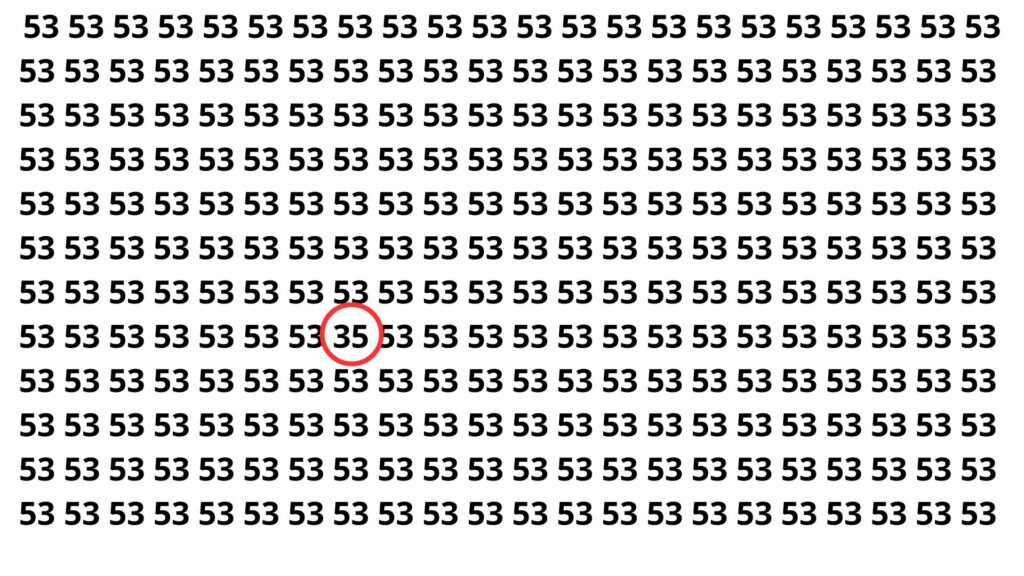 Só os mais rápidos encontram o número escondido em 5 segundos