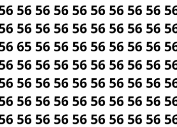 Encontre o número 65 entre os números 56 neste puzzle