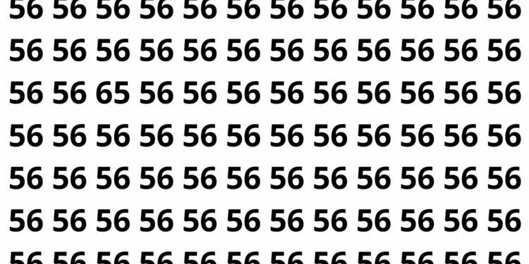 Encontre o número 65 entre os números 56 neste puzzle