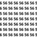 Encontre o número 65 entre os números 56 neste puzzle