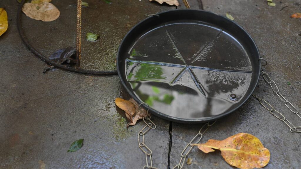 Mosquito da dengue rondando a água parada? O truque com 1 colher que impede as larvas de nascerem