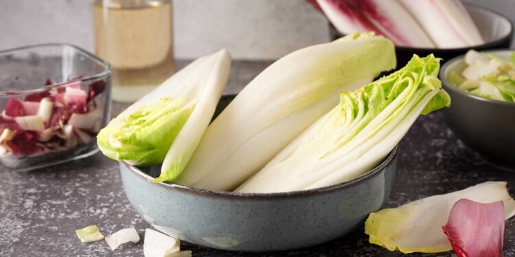 Aprenda a plantar almeirão de maneira fácil e colha em 40 dias