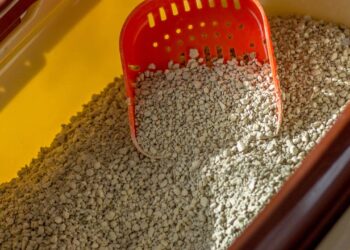 quantidade ideal de caixa de areia