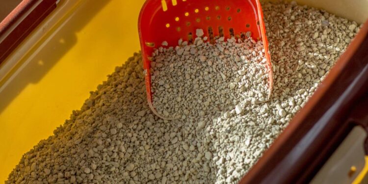 quantidade ideal de caixa de areia