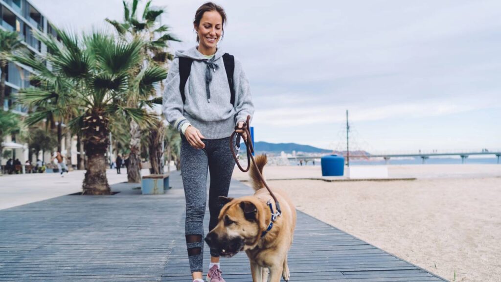 7 nomes versáteis para pets mestiços que se adaptam a qualquer rotina