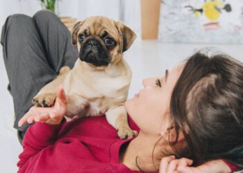Erros que você deve evitar ao cuidar do seu cachorro para garantir a saúde dele