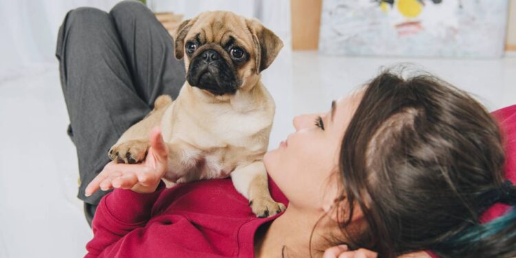 Erros que você deve evitar ao cuidar do seu cachorro para garantir a saúde dele