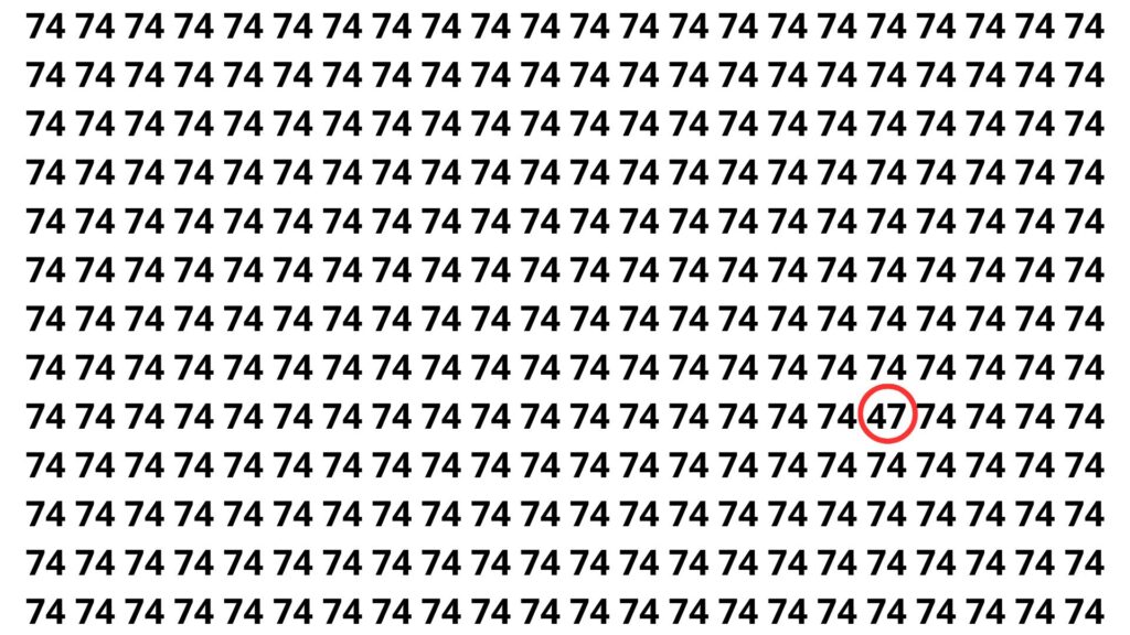 Encontrado o numero 47 entre os 74