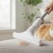 Remova pelos de animais da casa em segundos usando uma meia