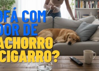 Cheiro de cachorro e cigarro no sofá? Com esta misturinha prática você pode dizer adeus aos odores fortes, deixando sua sala de estar limpa e agradável