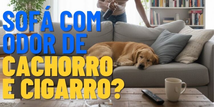 Cheiro de cachorro e cigarro no sofá? Com esta misturinha prática você pode dizer adeus aos odores fortes, deixando sua sala de estar limpa e agradável