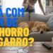 Cheiro de cachorro e cigarro no sofá? Com esta misturinha prática você pode dizer adeus aos odores fortes, deixando sua sala de estar limpa e agradável