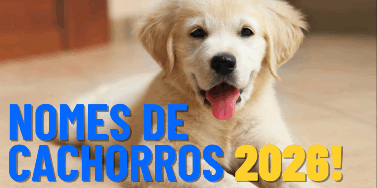 Nomes de cachorros que farão sucesso em 2026