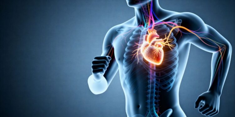 Esses exercícios não apenas fortalecem o coração, como também reprogramam seus nervos