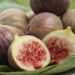 Cultive figueira no seu quintal e desfrute de frutos doces durante toda a estação