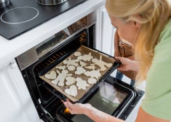 Forno elétrico ou a gás: qual realmente gasta mais energia em 2025