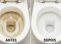 Antes e depois do vaso sanitário