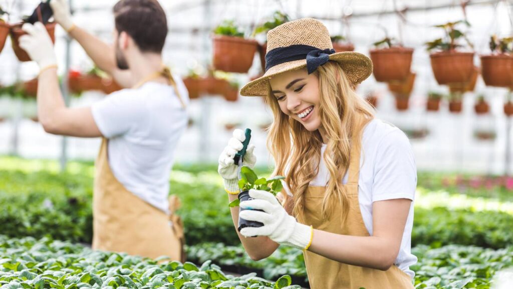 Como cuidar de plantas no calor intenso sem queimar as folhas