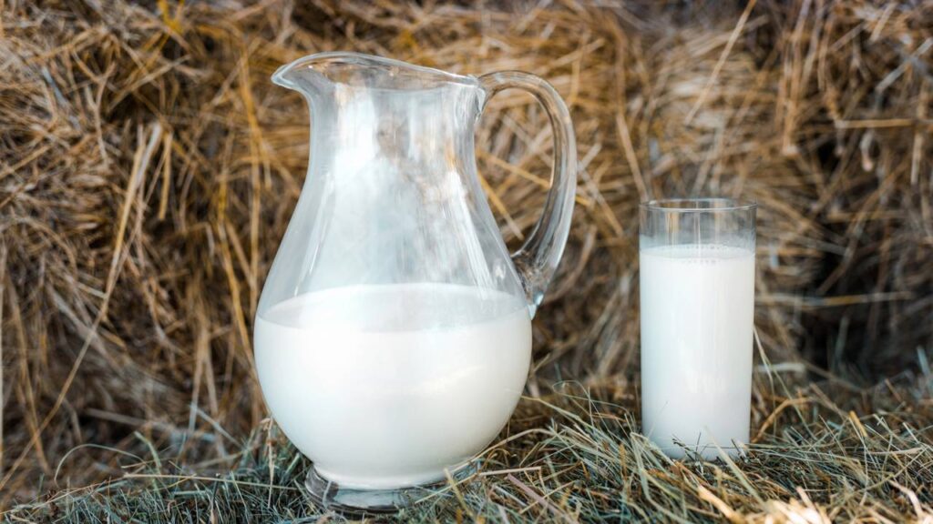 Nem tira-manchas caro, nem vinagre branco: leite frio que remove mancha de vinho tinto do sofá claro