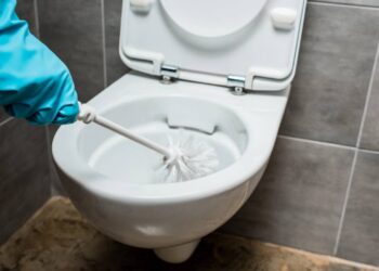 Nem só vinagre, nem apenas água sanitária: o segredo para um vaso sem manchas