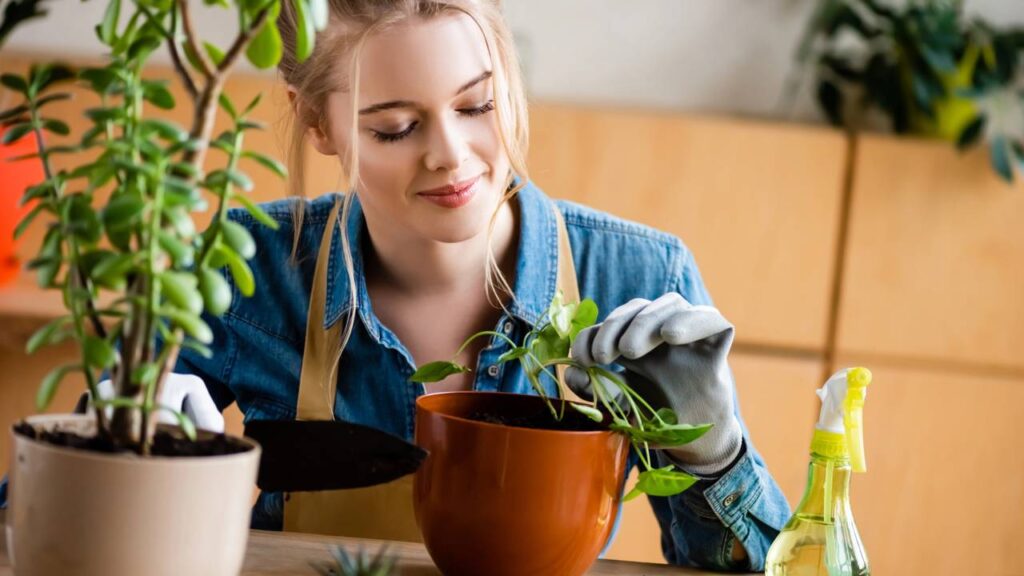 Como preparar plantas para ficarem sozinhas durante as férias