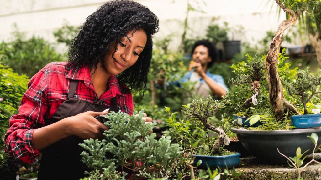 Como preparar plantas para ficarem sozinhas durante as férias