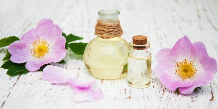 Óleo de rosa mosqueta ajuda a clarear manchas e suavizar rugas com uso constante