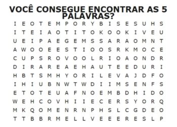 Encontre as 5 palavras em 30 segundos: será que você consegue?