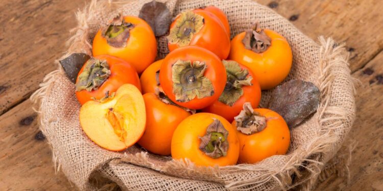 Método infalível para cultivar caqui em casa e obter frutos saborosos permanentemente