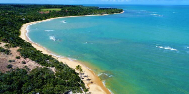O Caribe Baiano que transformou praias calmas no maior desejo de viagem