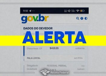 Alerta da Receita Federal para quem utiliza CPF na internet